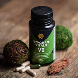 Chronobiological protection of Synchrovital VI joints