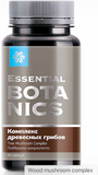Tree Mushroom Complex - Essential Botanics