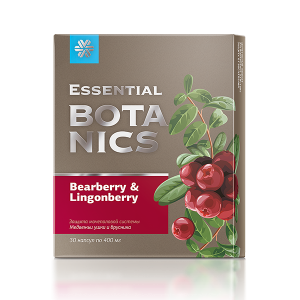 Bearberry and lingonberry - Essential Botanics
